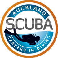 Auckland Scuba Dive